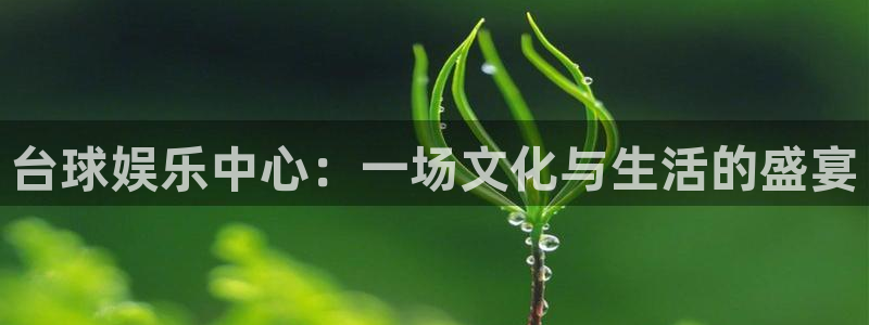 天顺娱乐：台球娱乐中心：一场文化与生活的盛宴