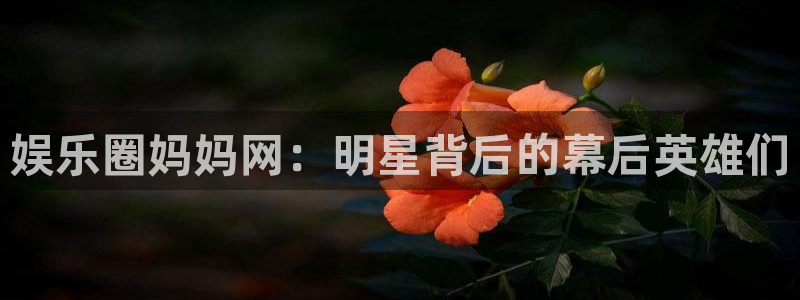 天顺娱乐：娱乐圈妈妈网：明星背后的幕后英雄们