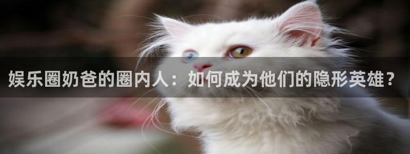 天顺娱乐：娱乐圈奶爸的圈内人：如何成为他们的隐形英雄？
