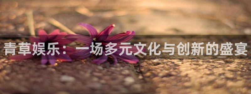 天顺娱乐：青草娱乐：一场多元文化与创新的盛宴