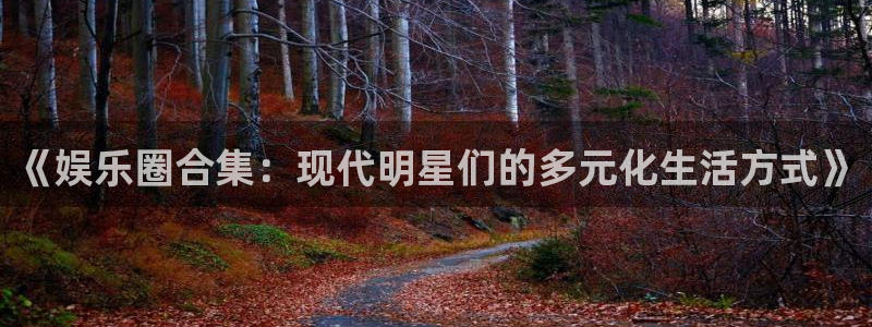 天顺娱乐：《娱乐圈合集：现代明星们的多元化生活方式》